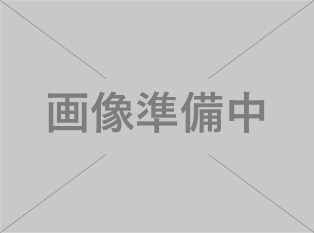 シェルティー カーステッカー